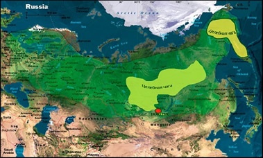 chaga map