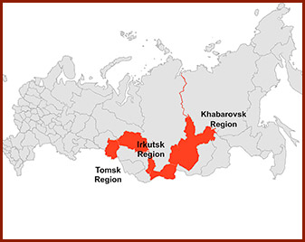 Map of Russia highlighting Irkutsk, Tomsk, and Khabarovsk regions where wild Siberian Chaga is hand-harvested.