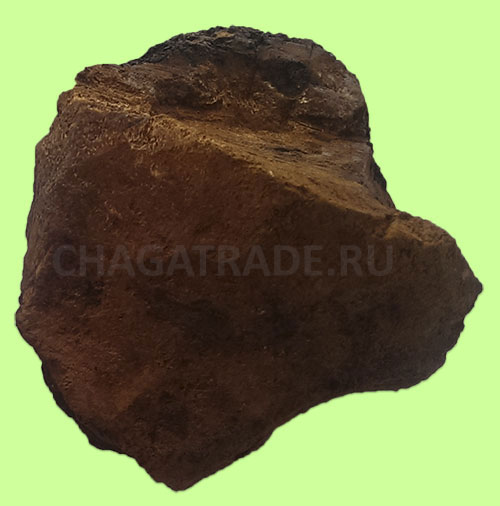  A manualy processed chunk of chaga mushroom