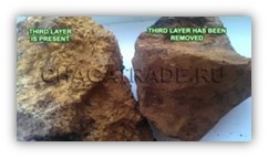 Ready for extraction chunk of chaga