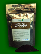 freeze-dried chaga extract in 100g bag